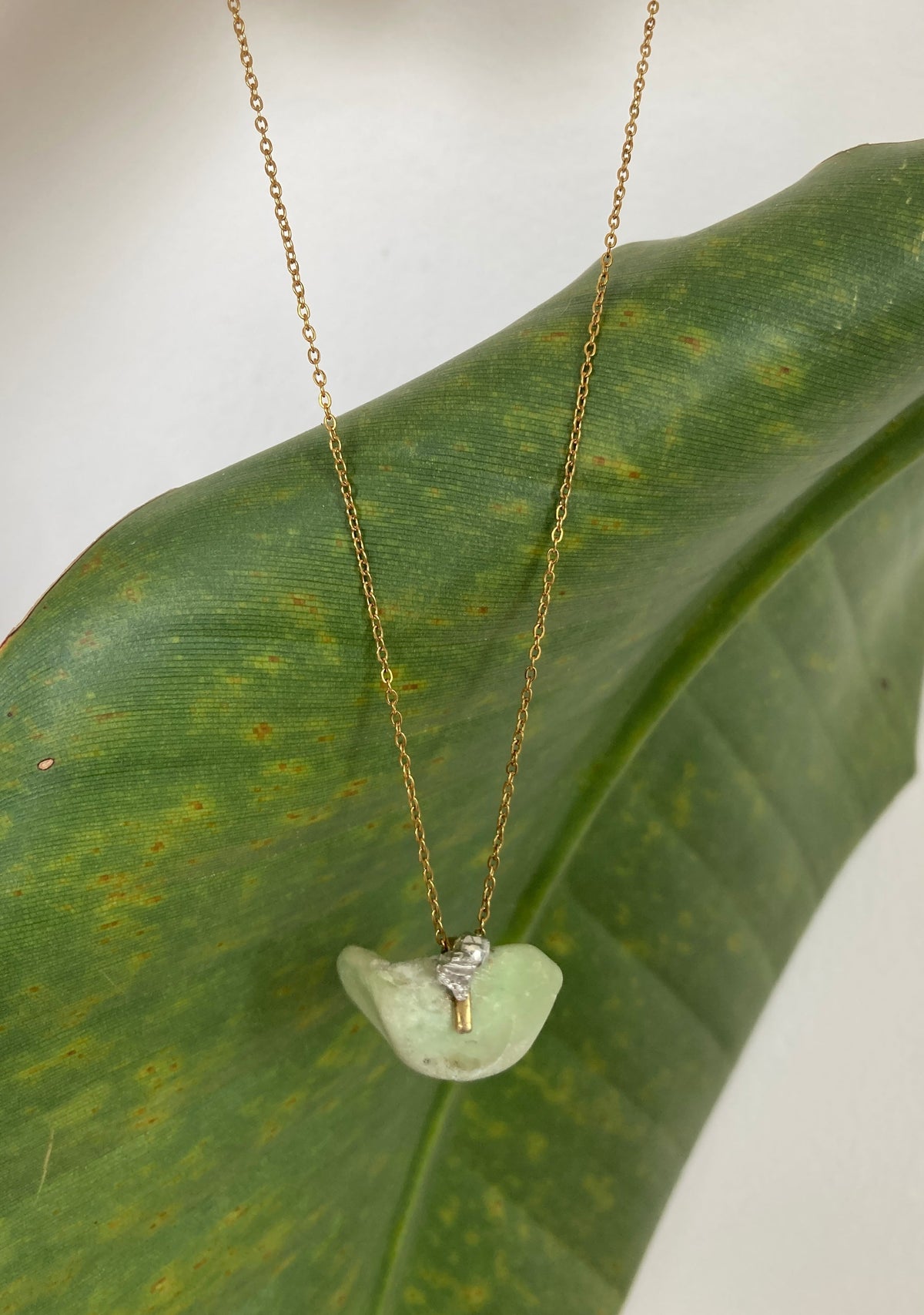 SEA LEAF
